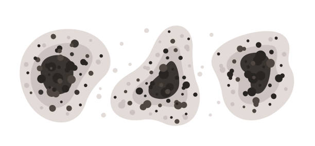 Best Air Quality Testing for Mold Spores  in Roaring Spring, PA