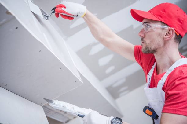Mold Remediation for Vacation Homes in Roaring Spring, PA